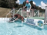 Halle Learning Dock Diving